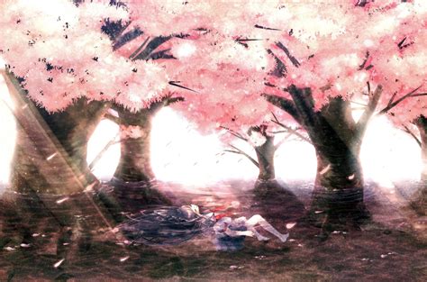 Magic of the Cherry Blossoms manga